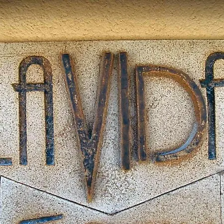 La Vida